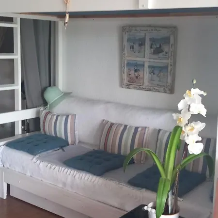 Apartment Sur Marina Cyprien - Finalisez Vos Reservations Sur Pc Pas Telephone